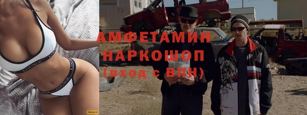 индика Володарск