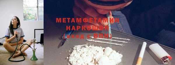индика Володарск