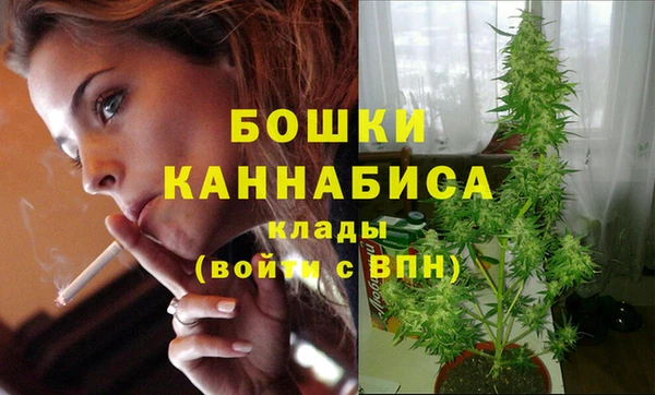 стаф Новозыбков