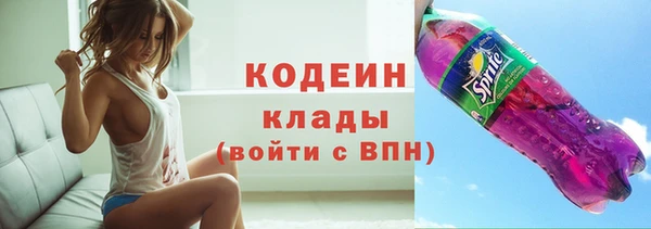 индика Володарск