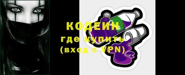 индика Володарск
