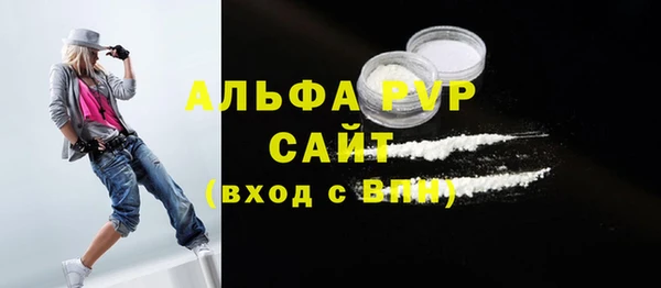 индика Володарск