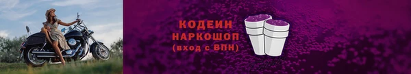 индика Володарск