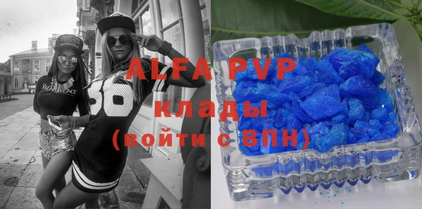 индика Володарск