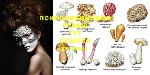 дмт Волоколамск