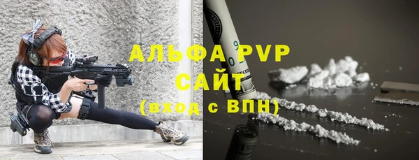 стаф Новозыбков