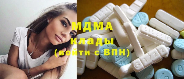 индика Володарск