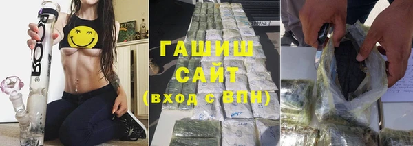 индика Володарск